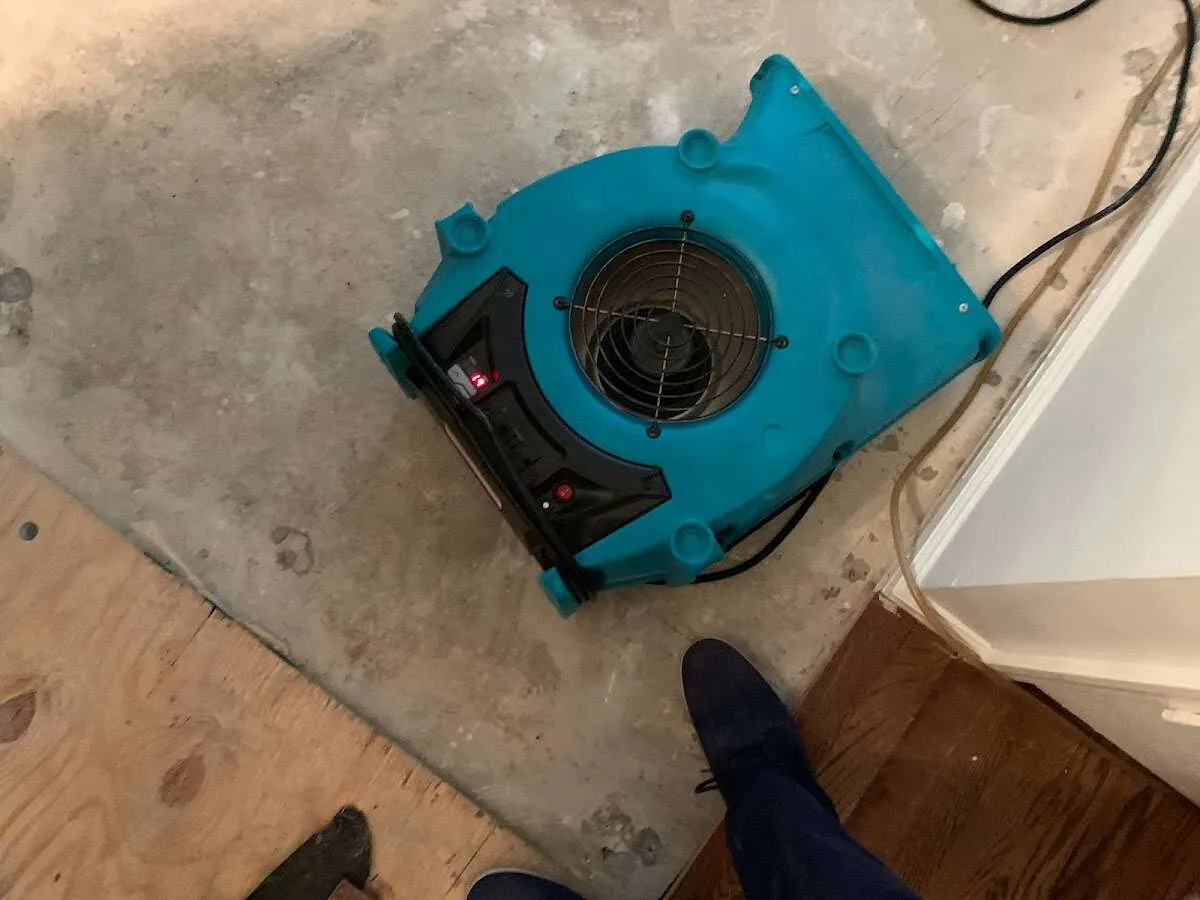 Air mover drying subfloor during Commercial Water Damage Restoration in Bern